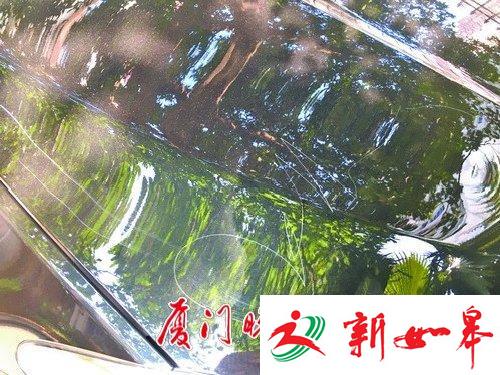 小朋友划伤宝马谁来赔？ 车主希望家长能站出来