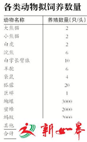 广州购物中心内建动物园遭质疑 当地称鼓励业态创新