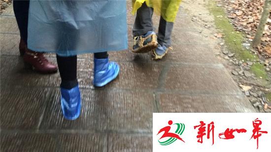 张家界一游客不慎从栅道坠落 被困在半山腰