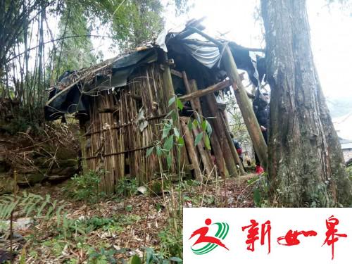 贵州镇远一女子被关铁笼10年