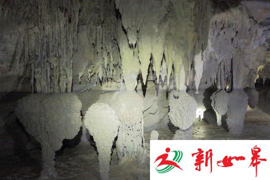 图为坑底溶洞内分布的石钟乳。陕西省国土资源厅供图