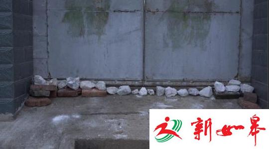 南京眼镜蛇幼蛇逃逸曝光40小时，当地居民家家户户石灰封门窗。　李珂 摄