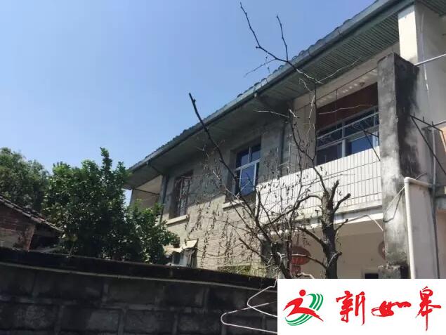 “援交女”竟是诈骗团伙！百名“女留学生”专骗华人