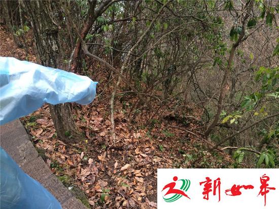 张家界一游客不慎从栅道坠落 被困在半山腰