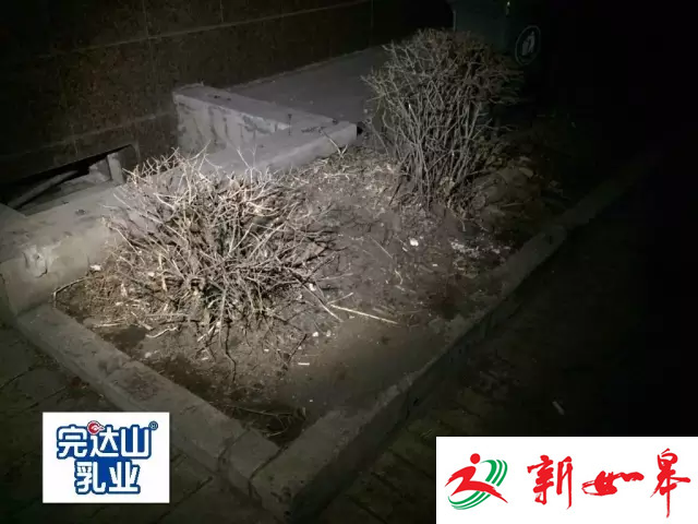 4岁女童10楼坠亡 邻居:或是被疑似抑郁症父亲扔下