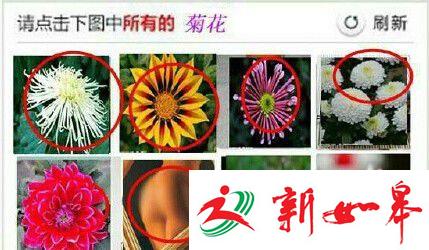 12306验证码引发全民吐槽 看那些被玩坏的验证码