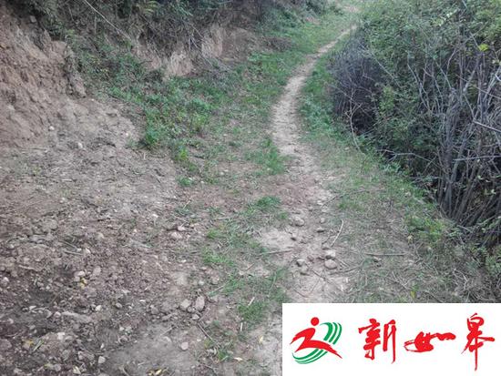 甘肃母亲砍杀4子女事件:亲属称这两年没领低保