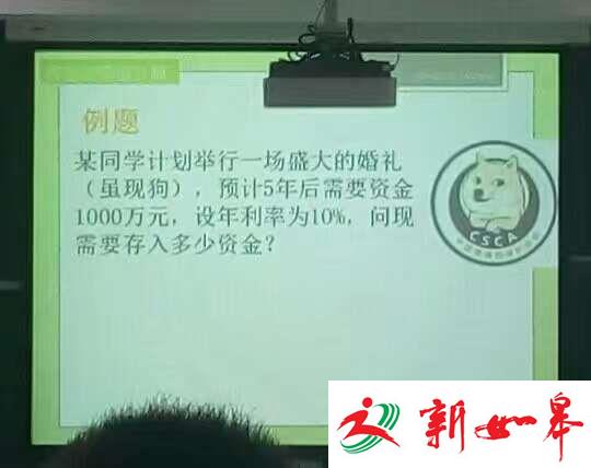 高校老师造新词