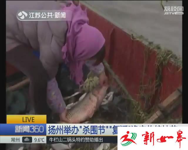 实拍丨扬州邵伯湖再现&ldquo;杀围&rdquo;传统捕鱼技艺