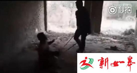 小学生砖砸、肘击11岁同学 因不满14周岁不被处罚