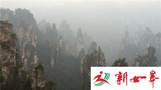 张家界一游客不慎从栅道坠落 被困在半山腰